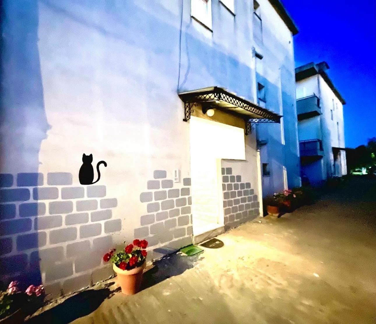 Sofi's * Каламата